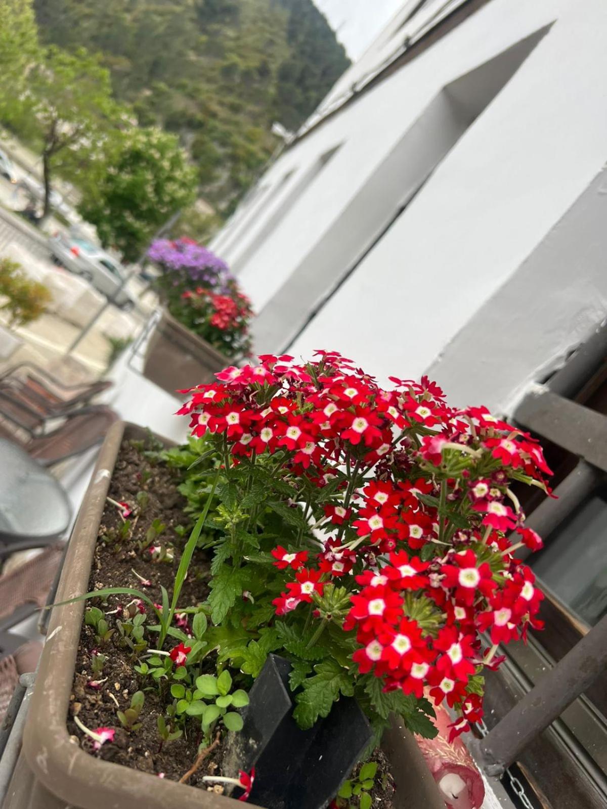 Hotel Omer Berat Zimmer foto