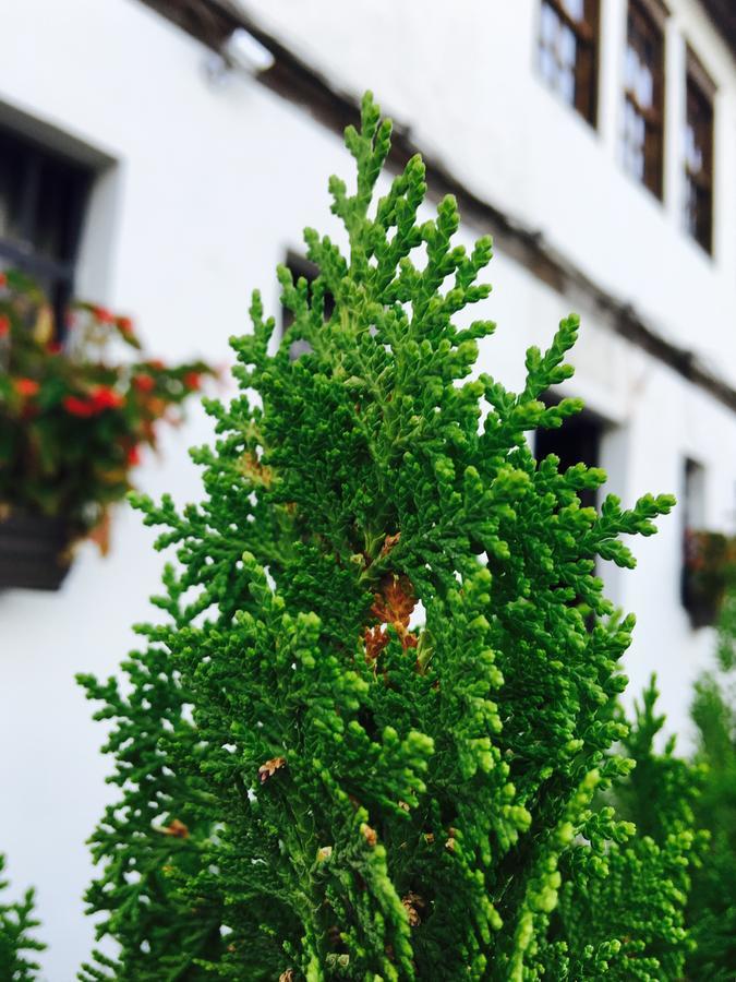 Hotel Omer Berat Exterior foto